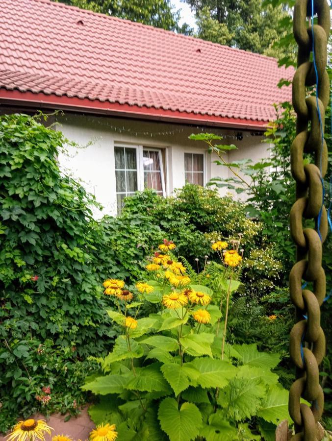 Bialy Dom Aparthotel Ściegny Buitenkant foto